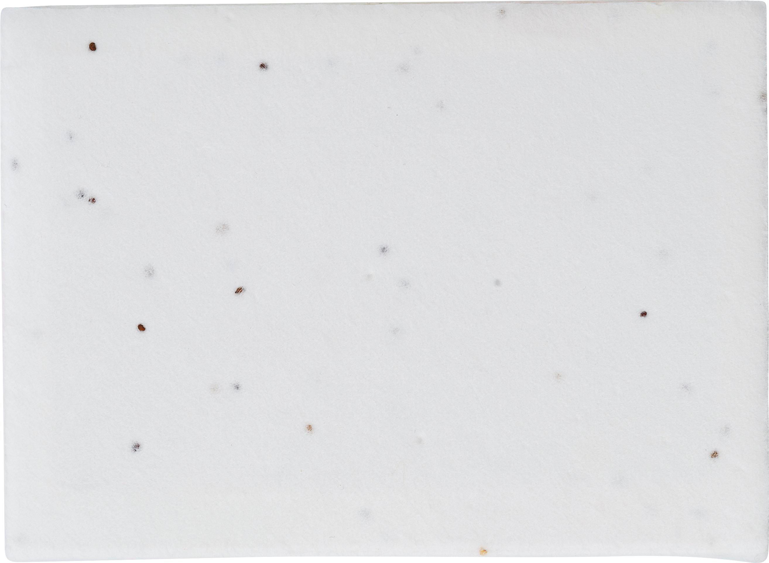 Notes adhésives Patricia | Papier ensemencé | 6 pièces