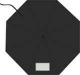 1er panel
