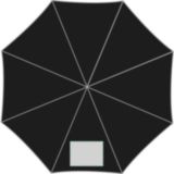 1er panel