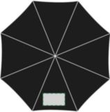 1er panel