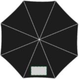 1er panel