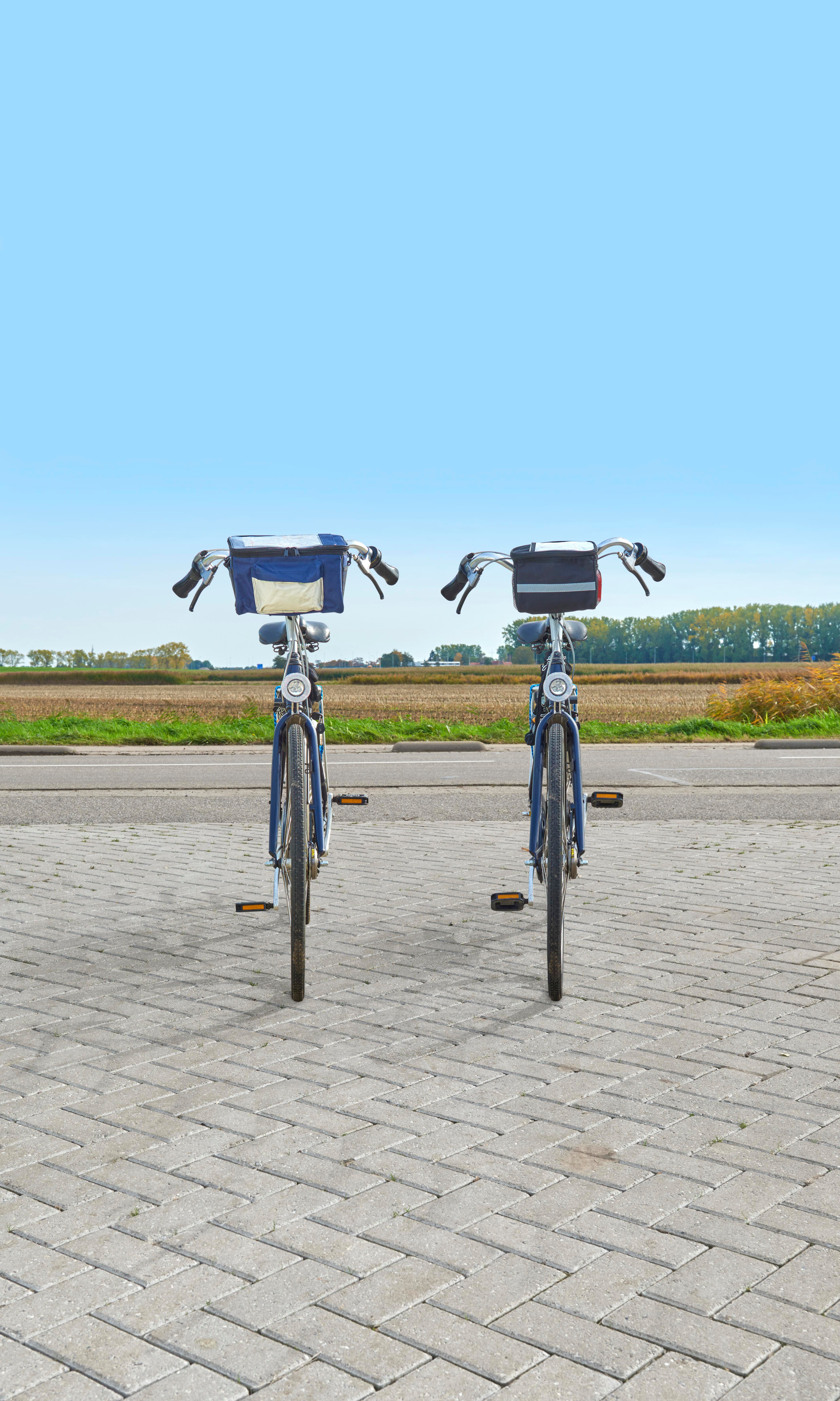 Sac isotherme en polyester 600D Prisha