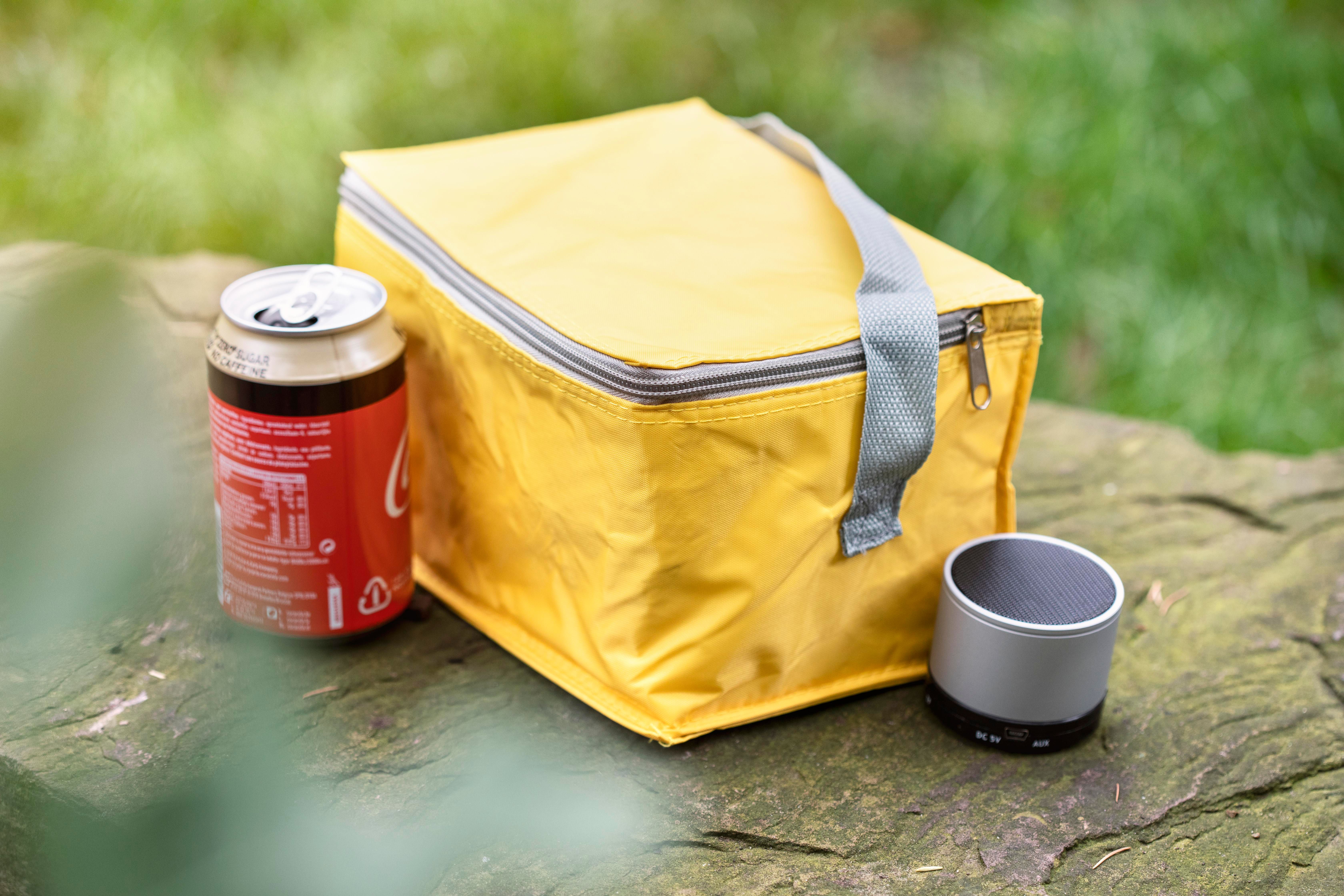 Sac isotherme en polyester Cleo