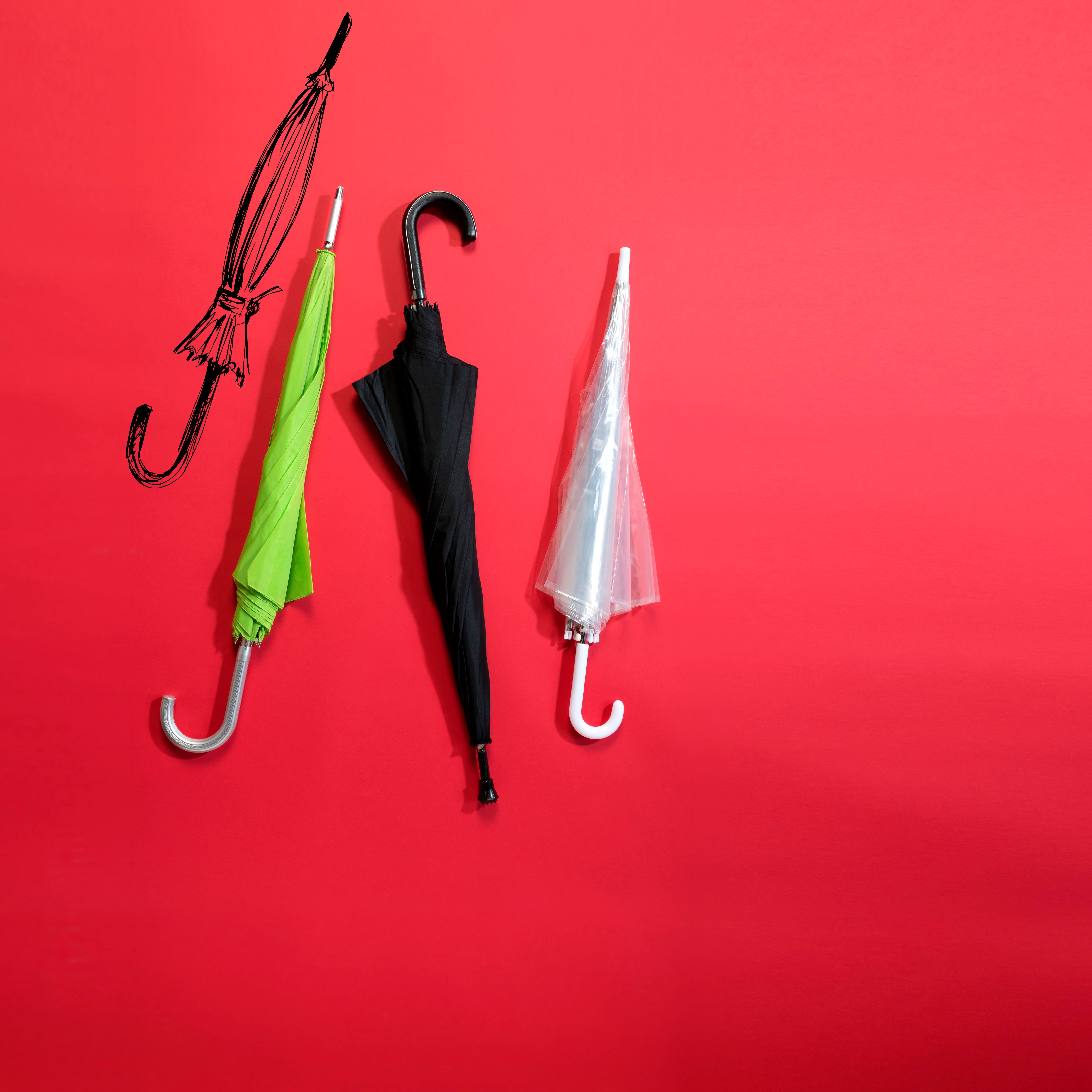 Parapluie golf Charles Dickens® Annabella