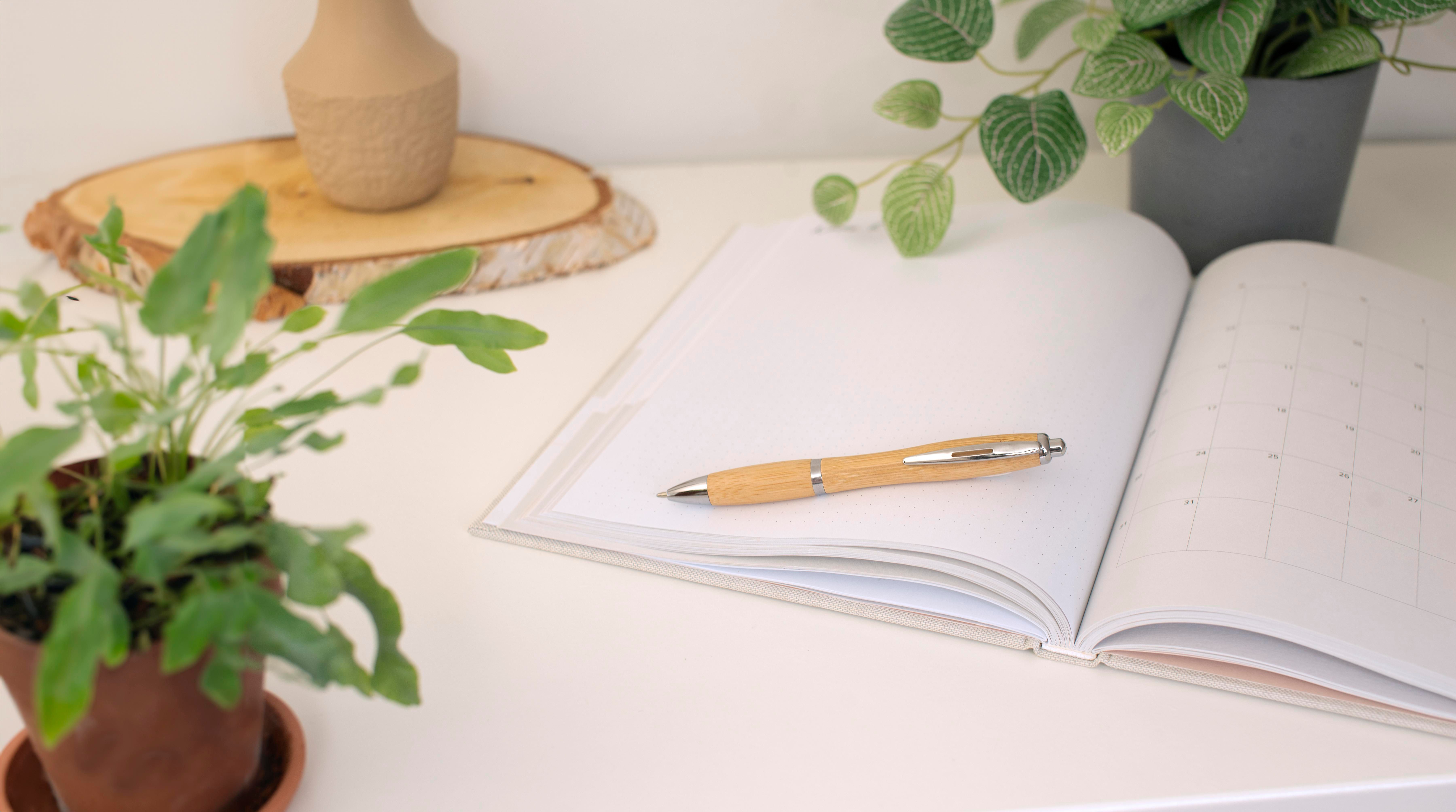 Stylo bille en bambou Carson