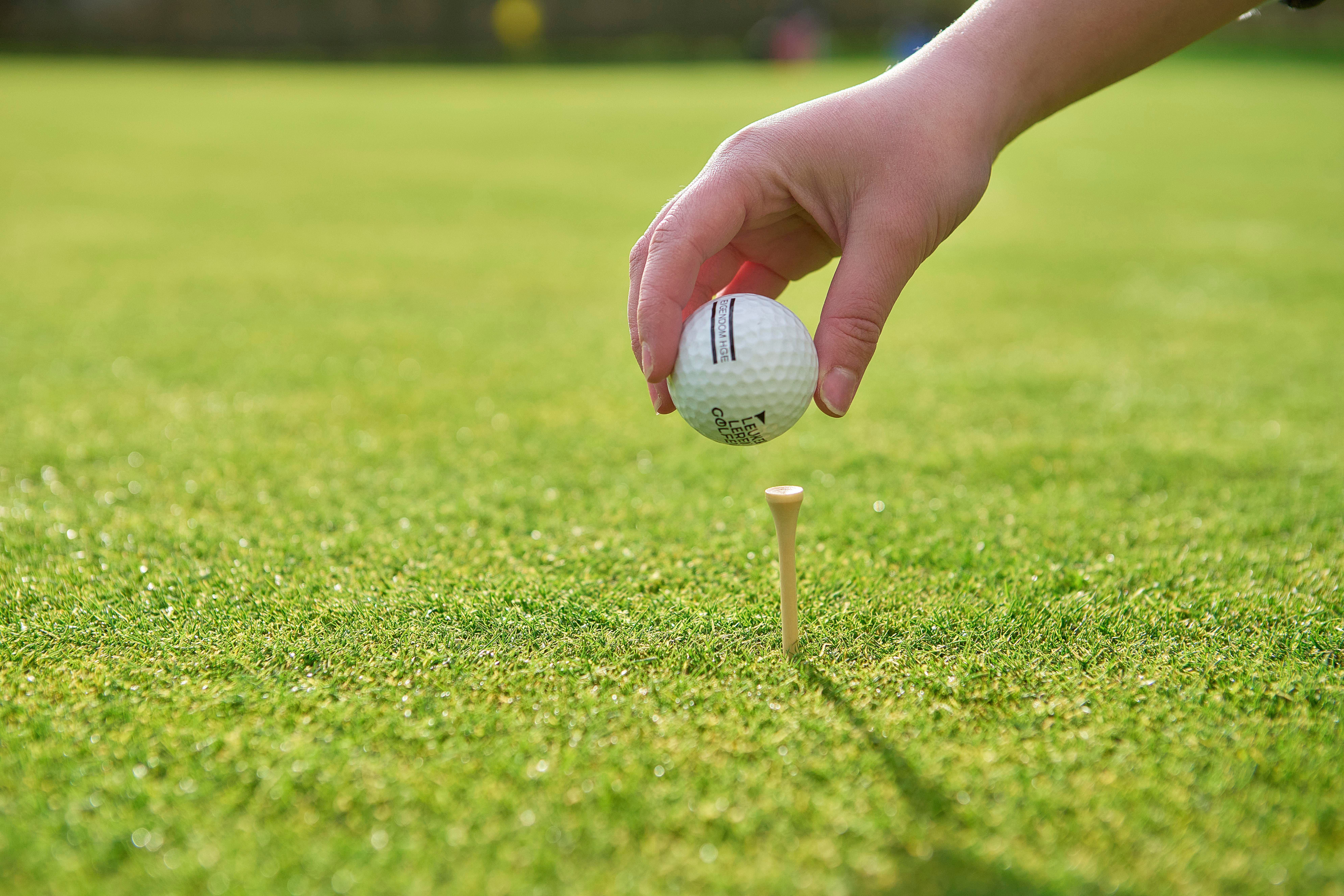 Ensemble de tees de golf en bois Nyssa