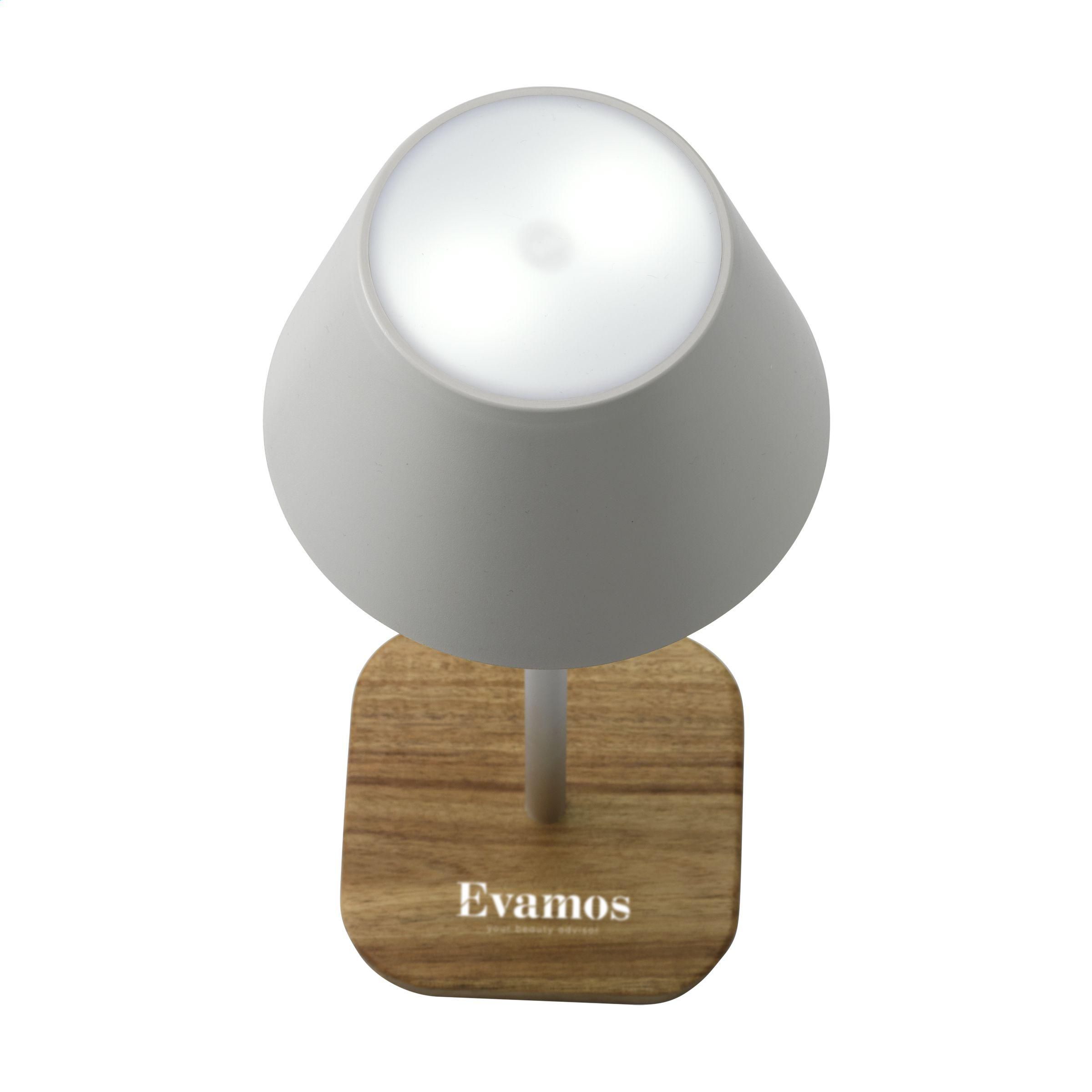 Wooosh RCS Luzia Table Light lampe