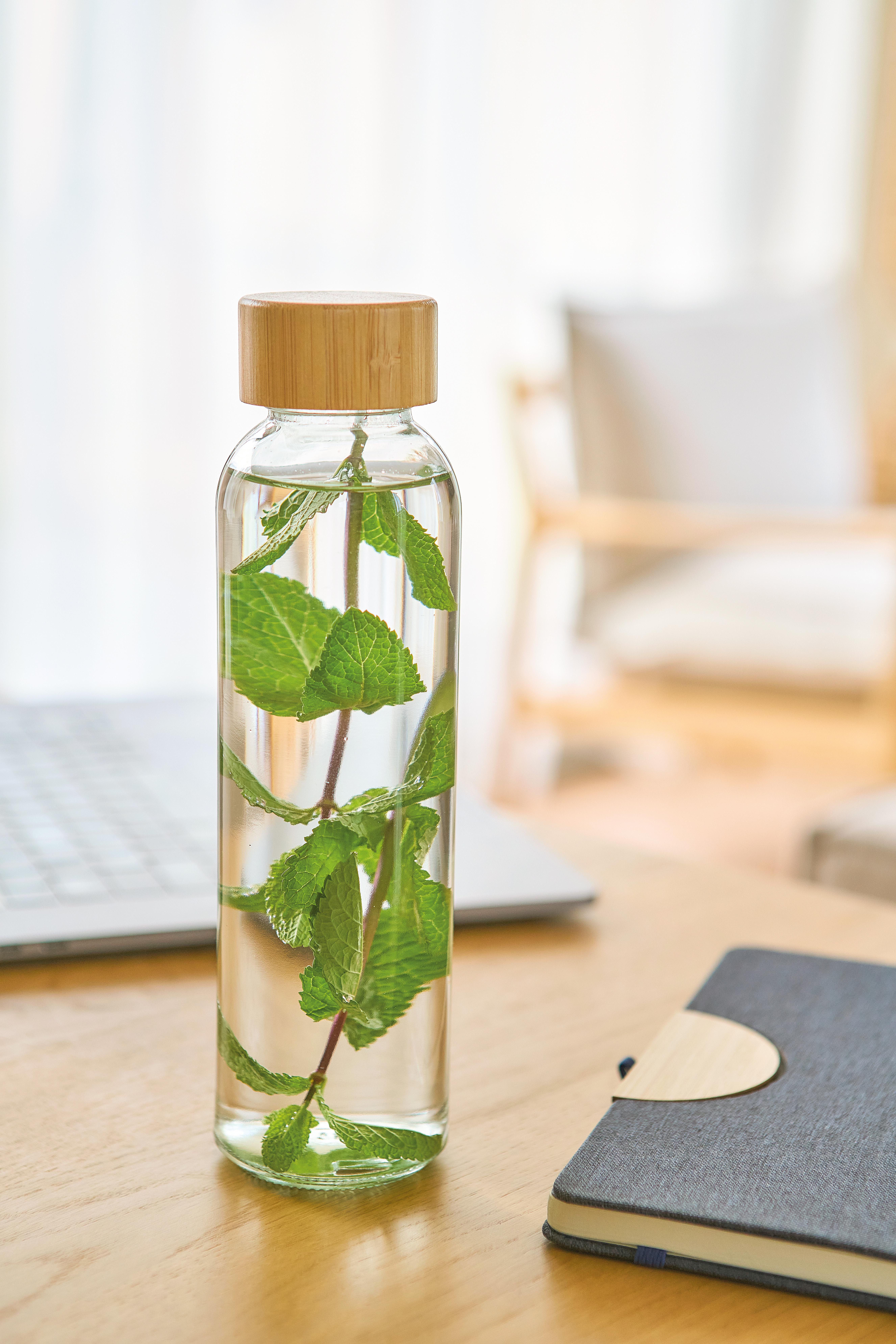 Gourde de 500 ml en verre Levi