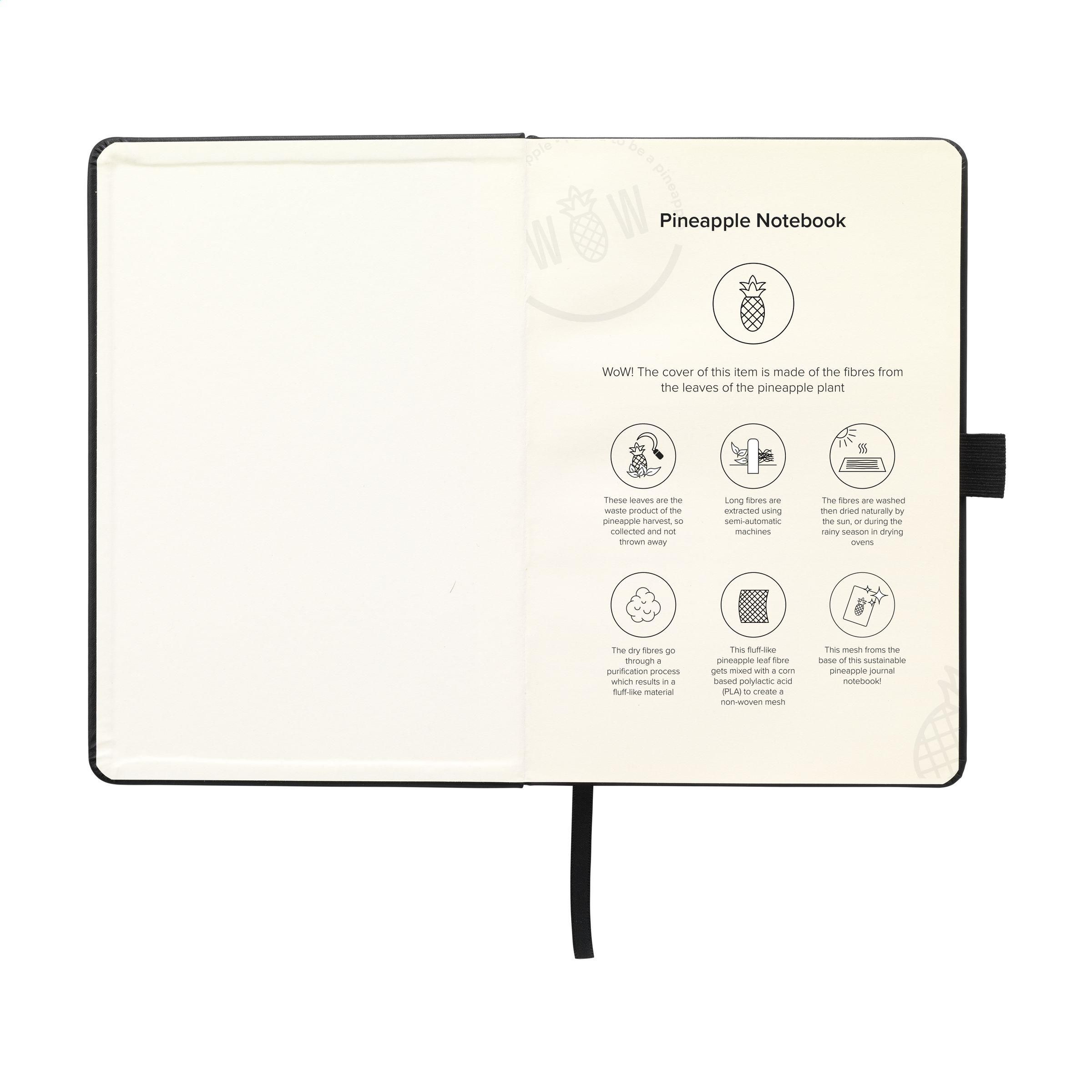 Pineapple Notebook A5 carnet de notes