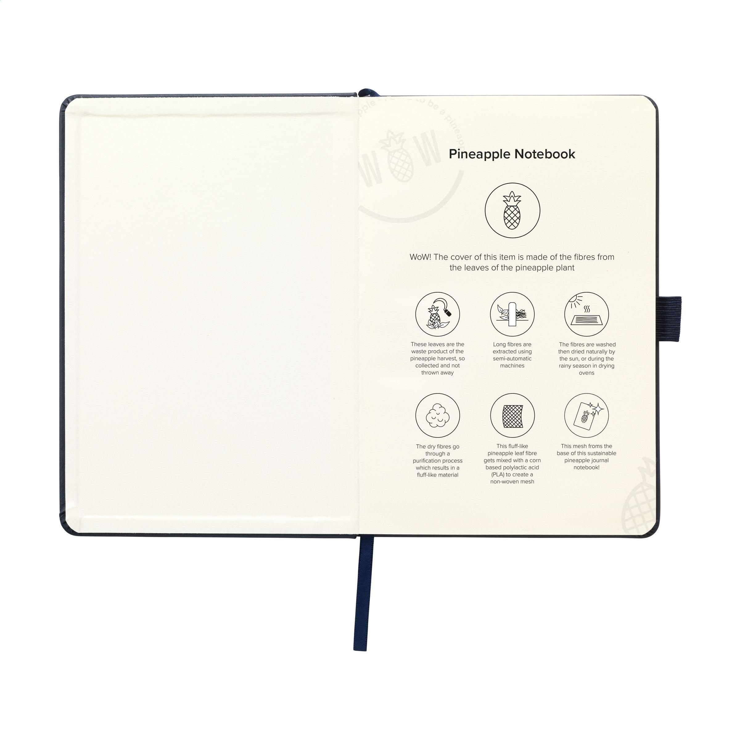 Pineapple Notebook A5 carnet de notes