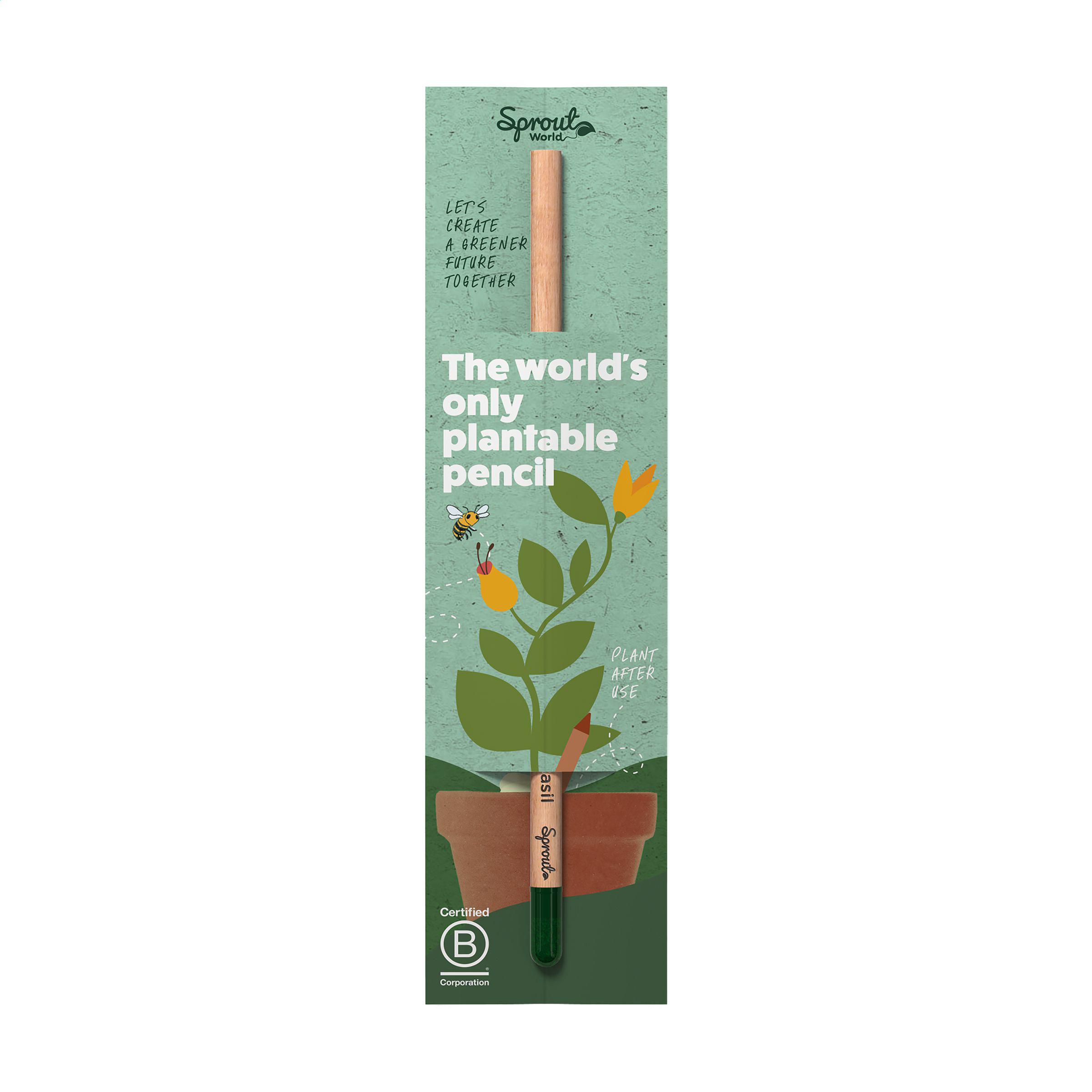Sproutworld Unsharpened Pencil crayon non taillé