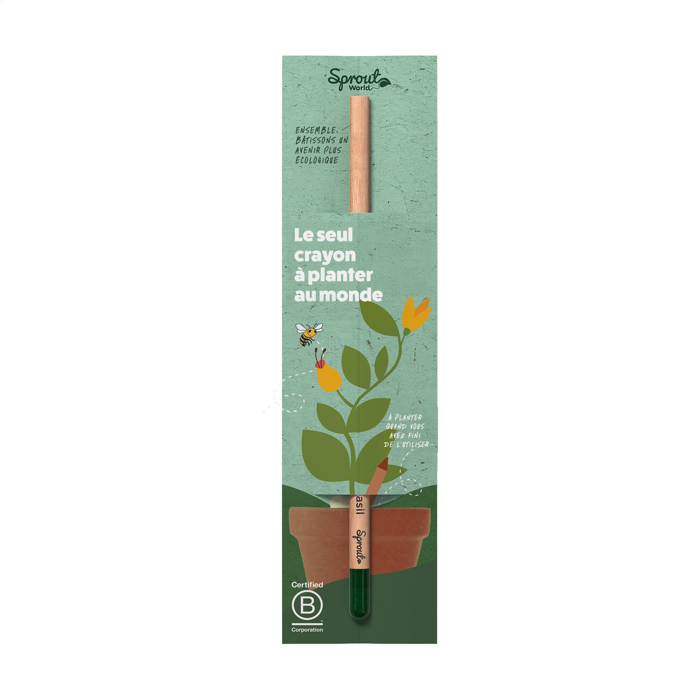 Carte d'en-tête unique pour le crayon Sproutworld FR