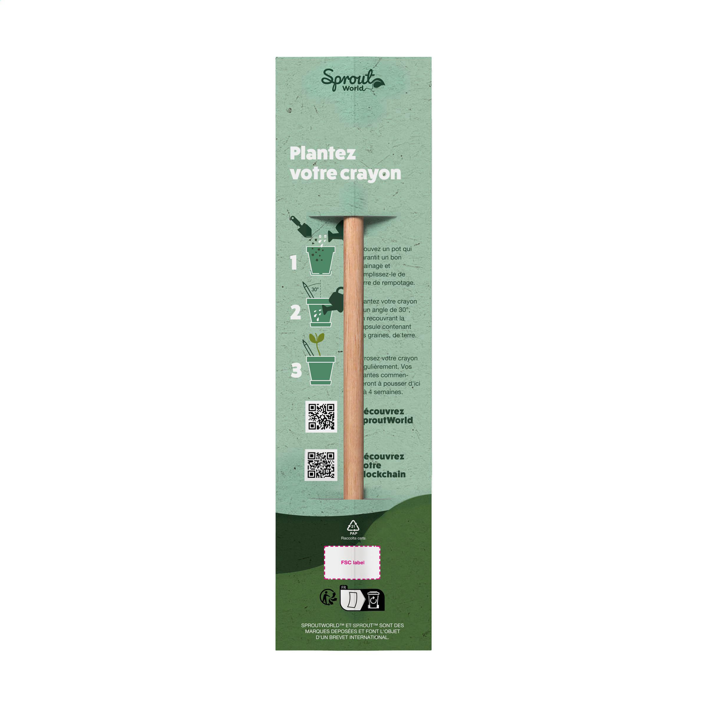 Carte d'en-tête unique pour le crayon Sproutworld FR