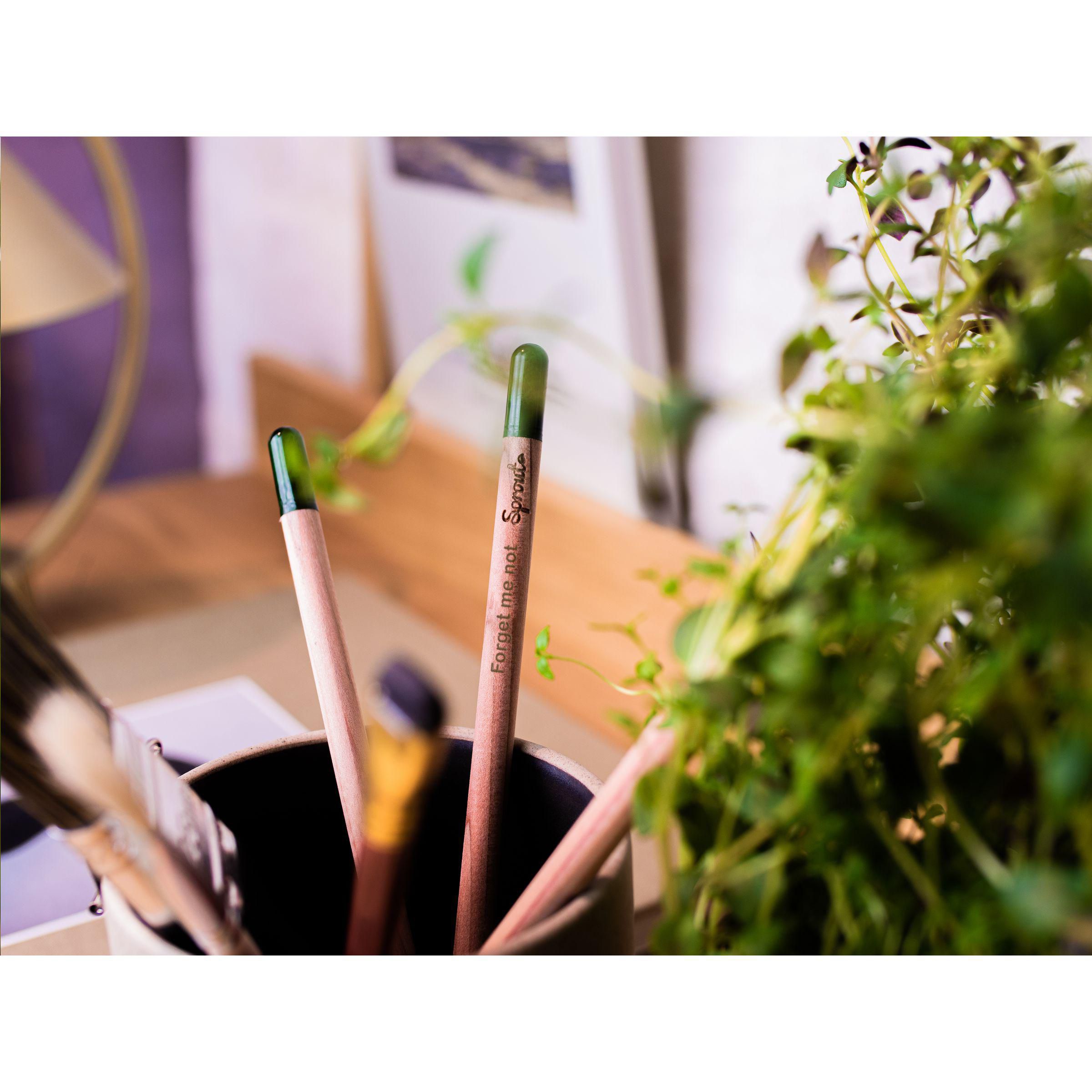 Sproutworld Unsharpened Pencil crayon non taillé