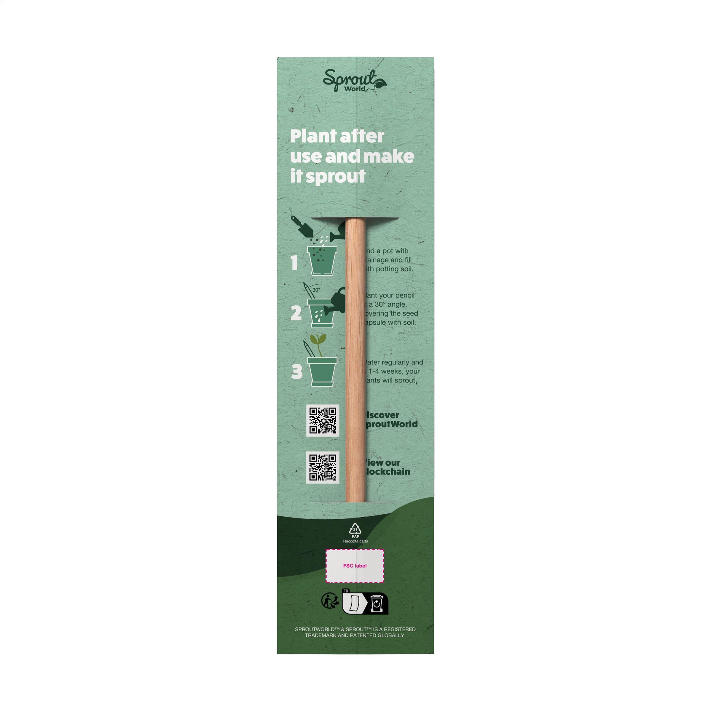 Sproutworld Unsharpened Pencil crayon non taillé