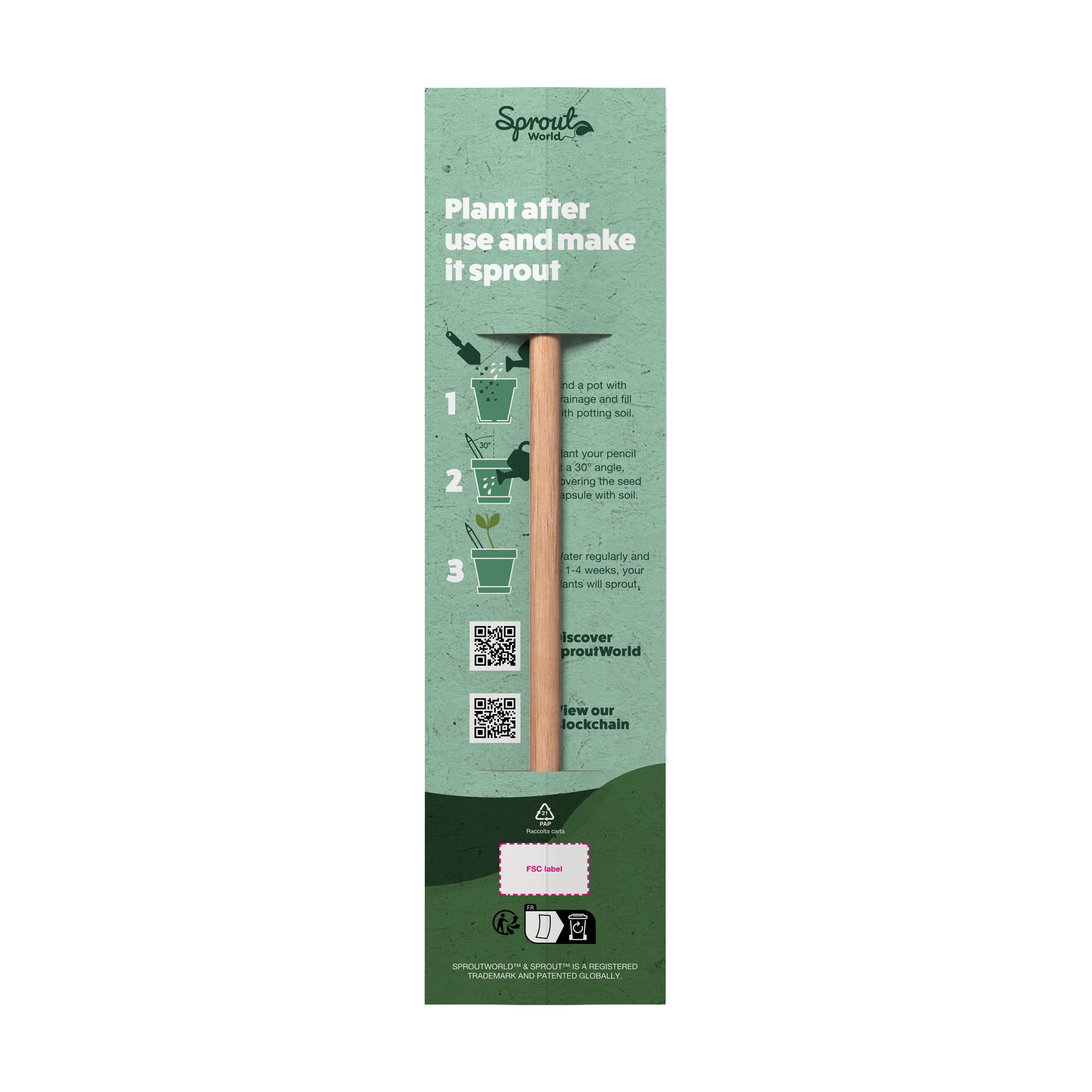 Sproutworld Unsharpened Pencil & Header Card crayon non taillé
