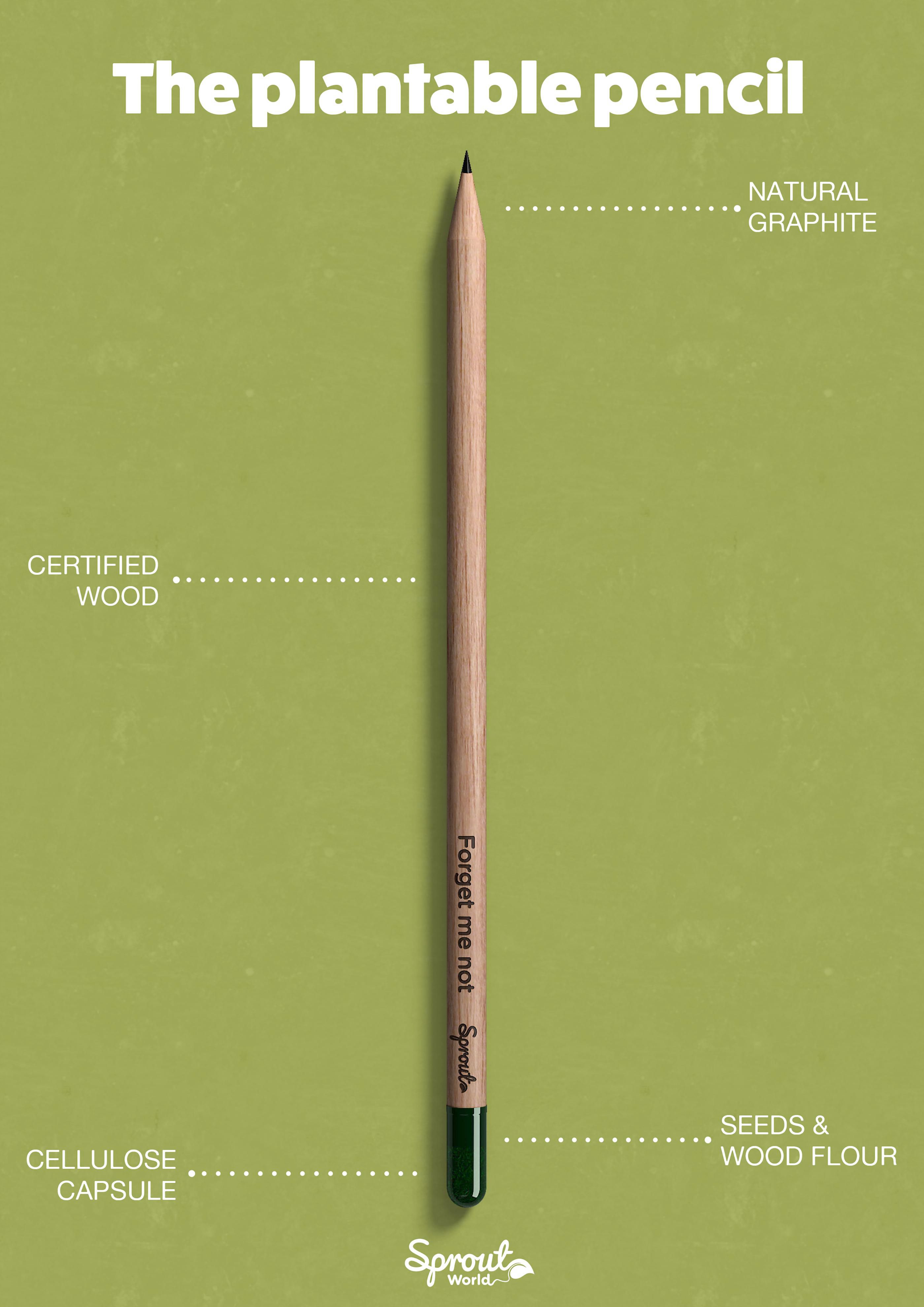 Sproutworld Unsharpened Pencil & Header Card crayon non taillé