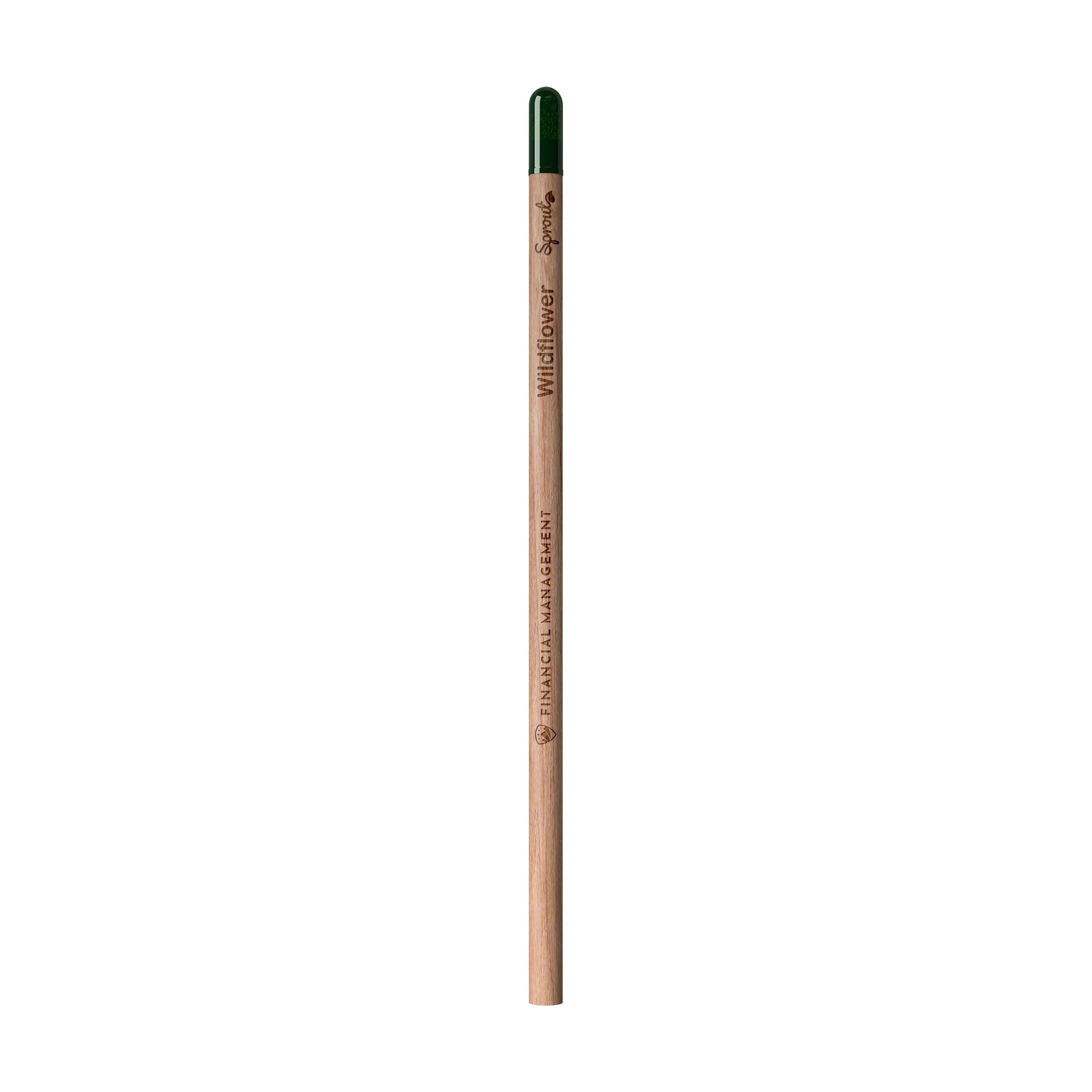 Sproutworld Unsharpened Pencil & Header Card crayon non taillé