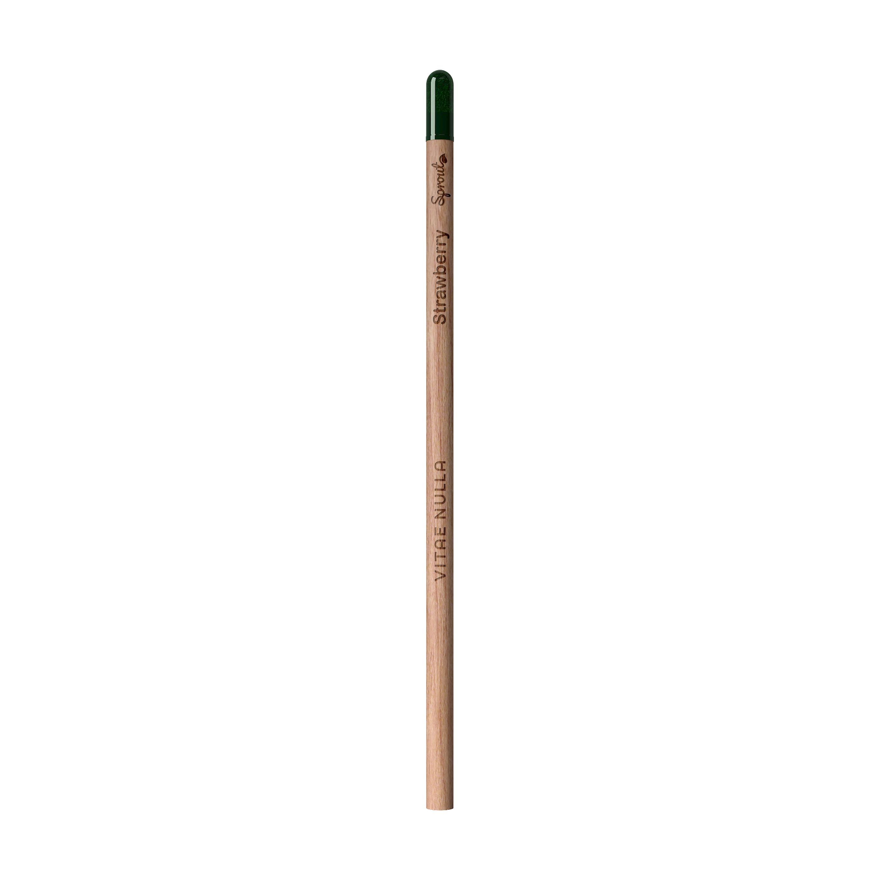 Sproutworld Unsharpened Pencil & Header Card crayon non taillé