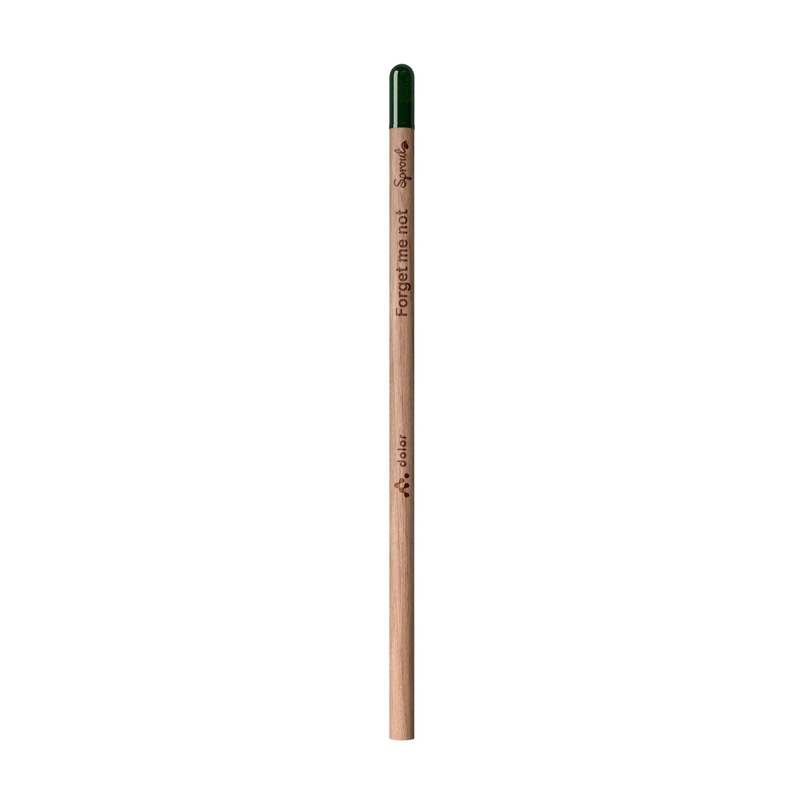Sproutworld Unsharpened Pencil & Header Card crayon non taillé