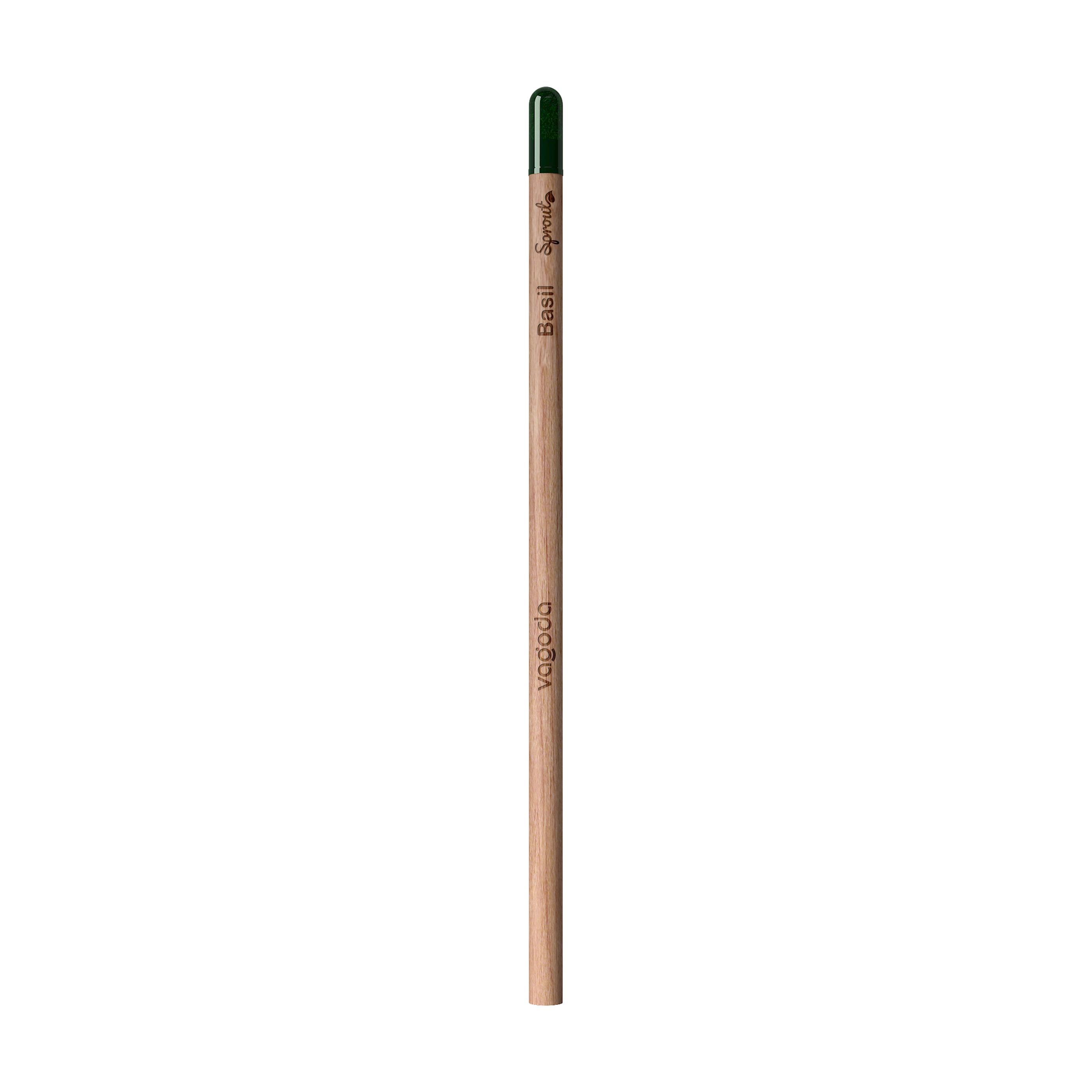 Sproutworld Unsharpened Pencil & Header Card crayon non taillé