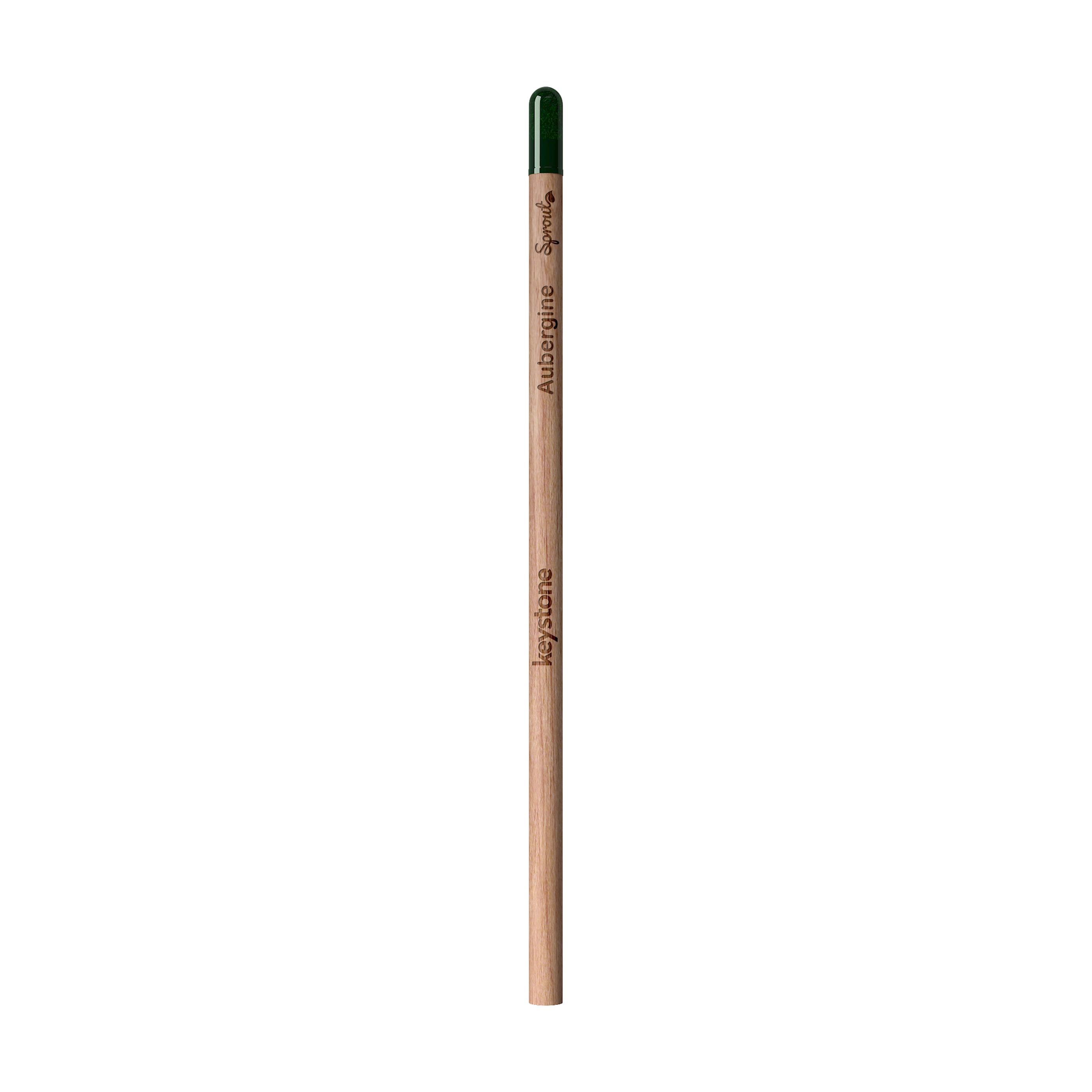 Sproutworld Unsharpened Pencil & Header Card crayon non taillé