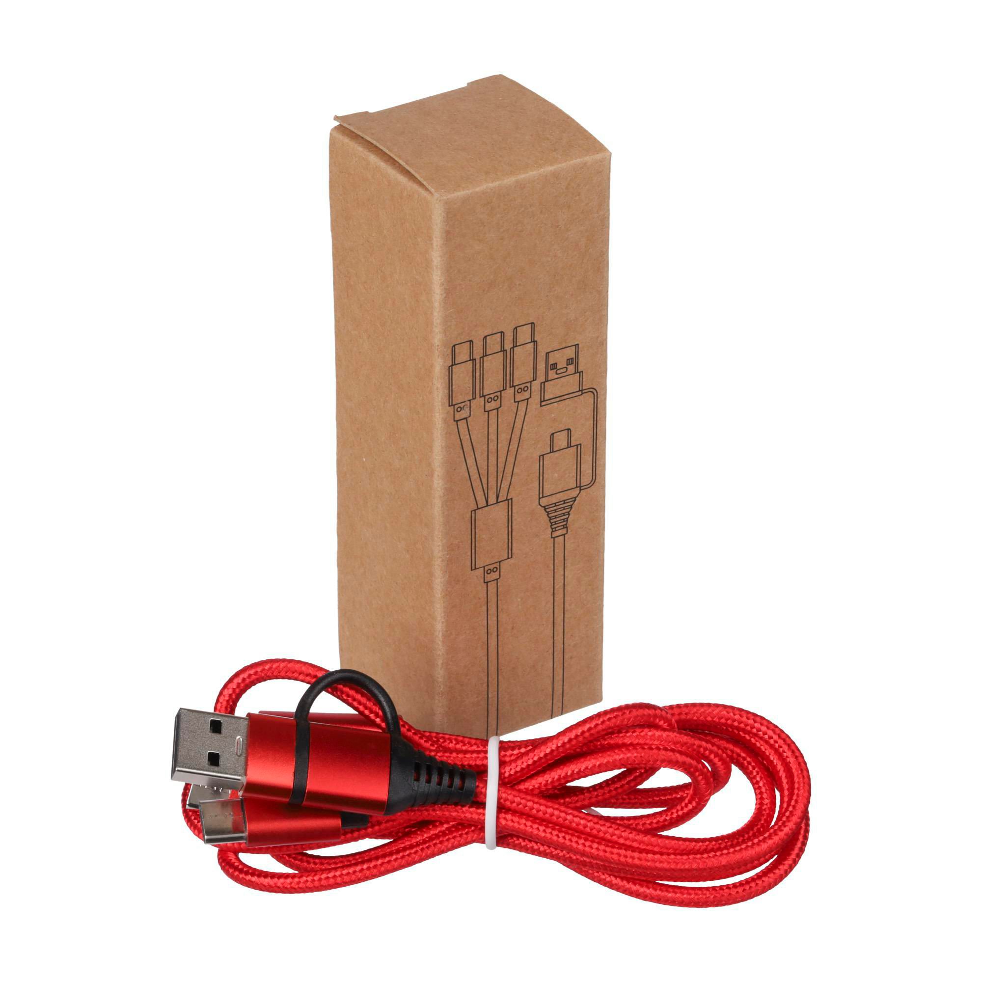 Câble de charge Hexa | 6-en-1