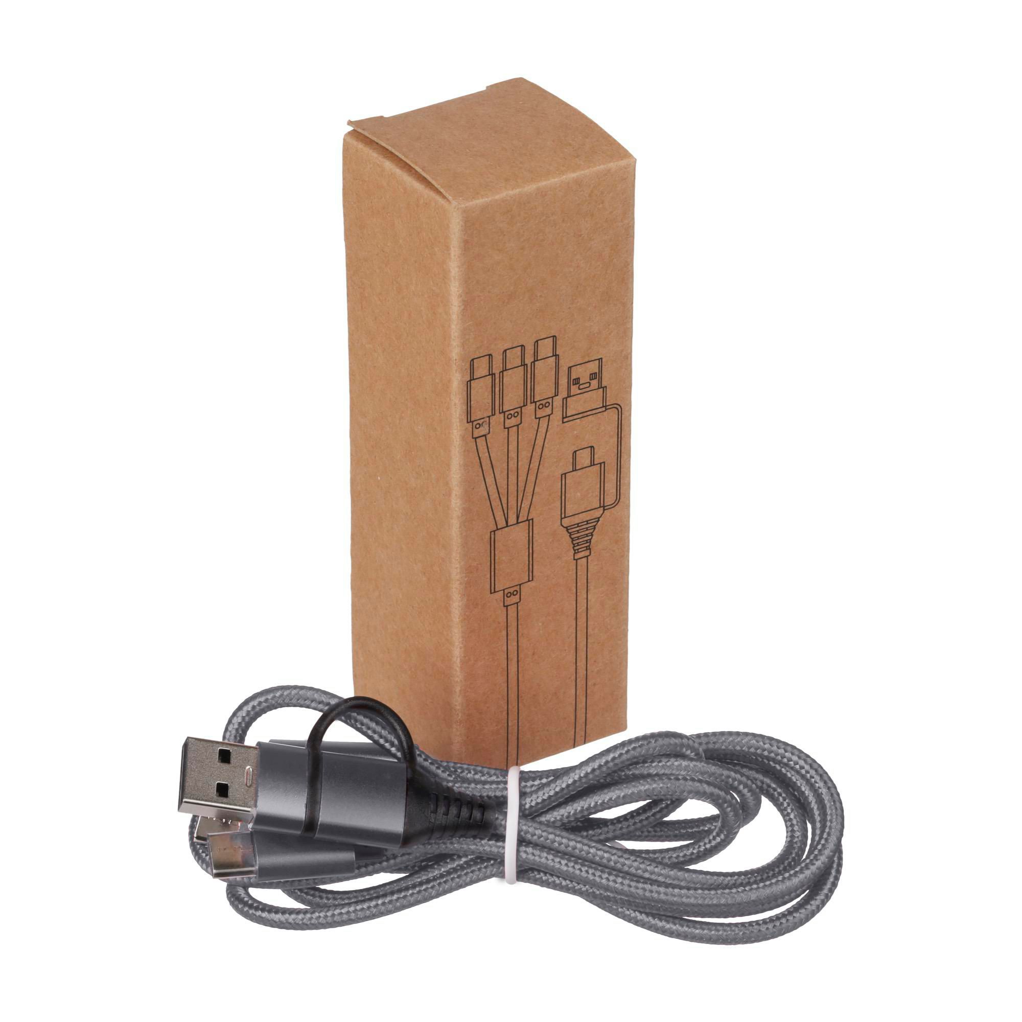 Câble de charge Hexa | 6-en-1