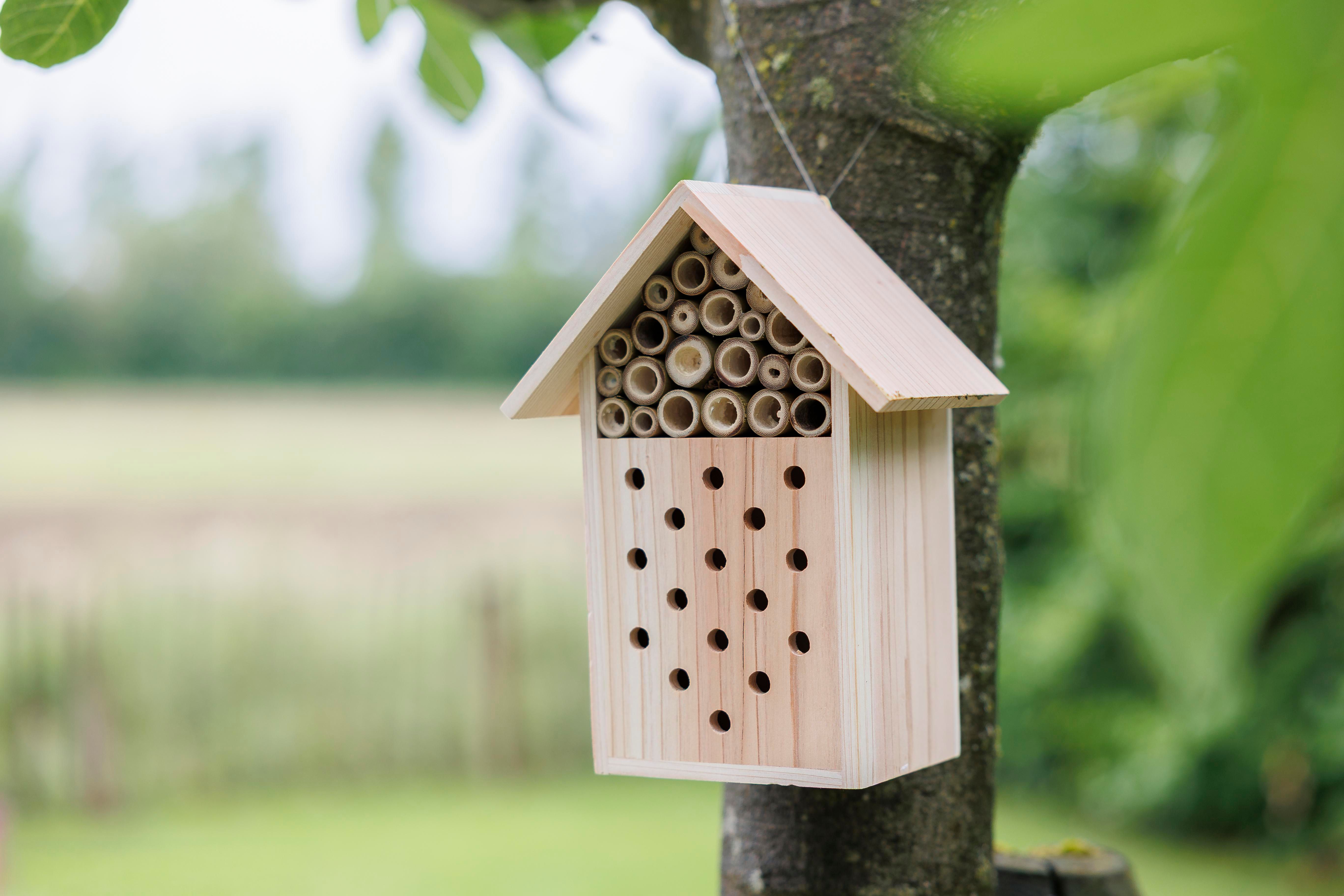 Maison à abeilles Fahim | Bois recyclé