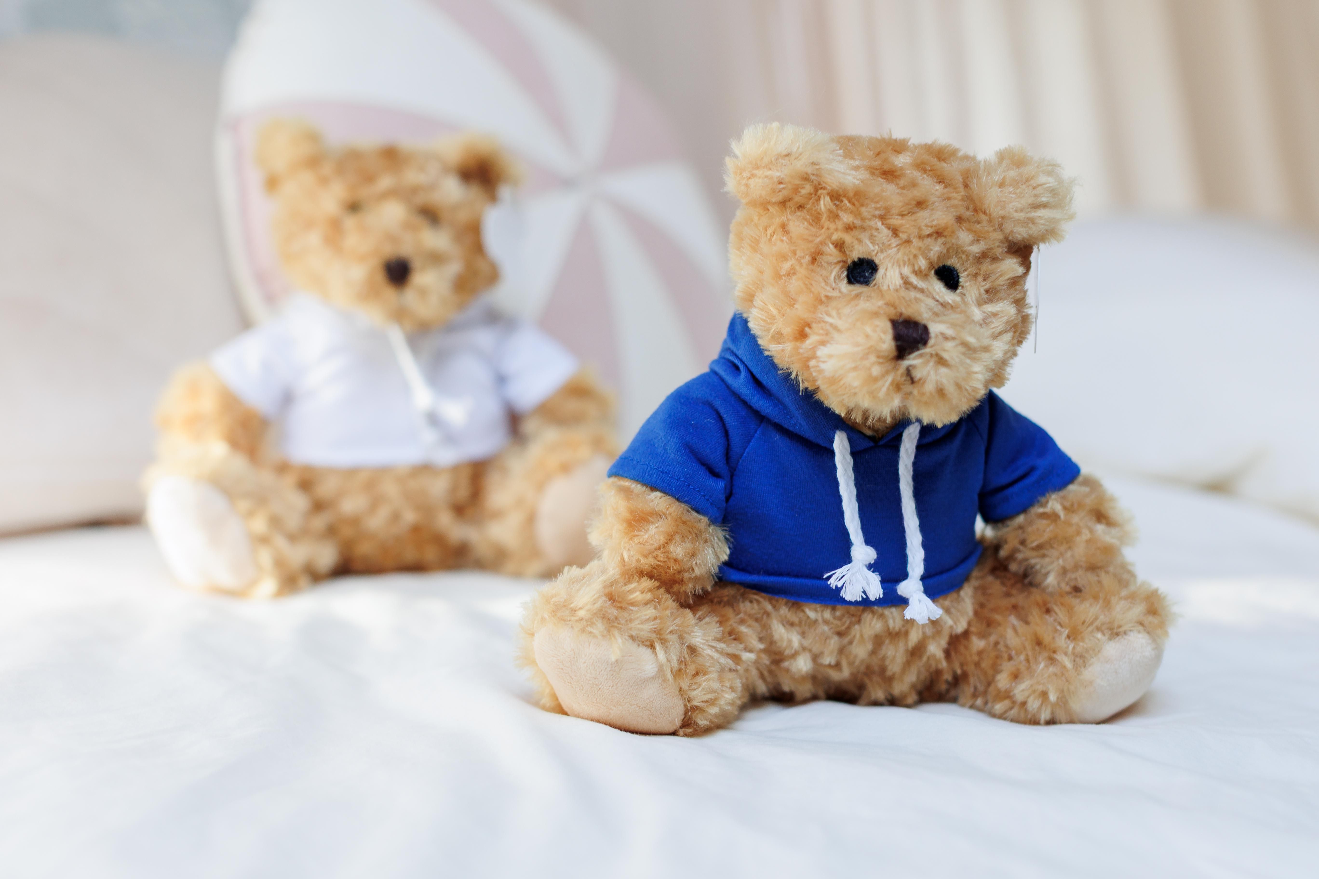 Teddybär Monty