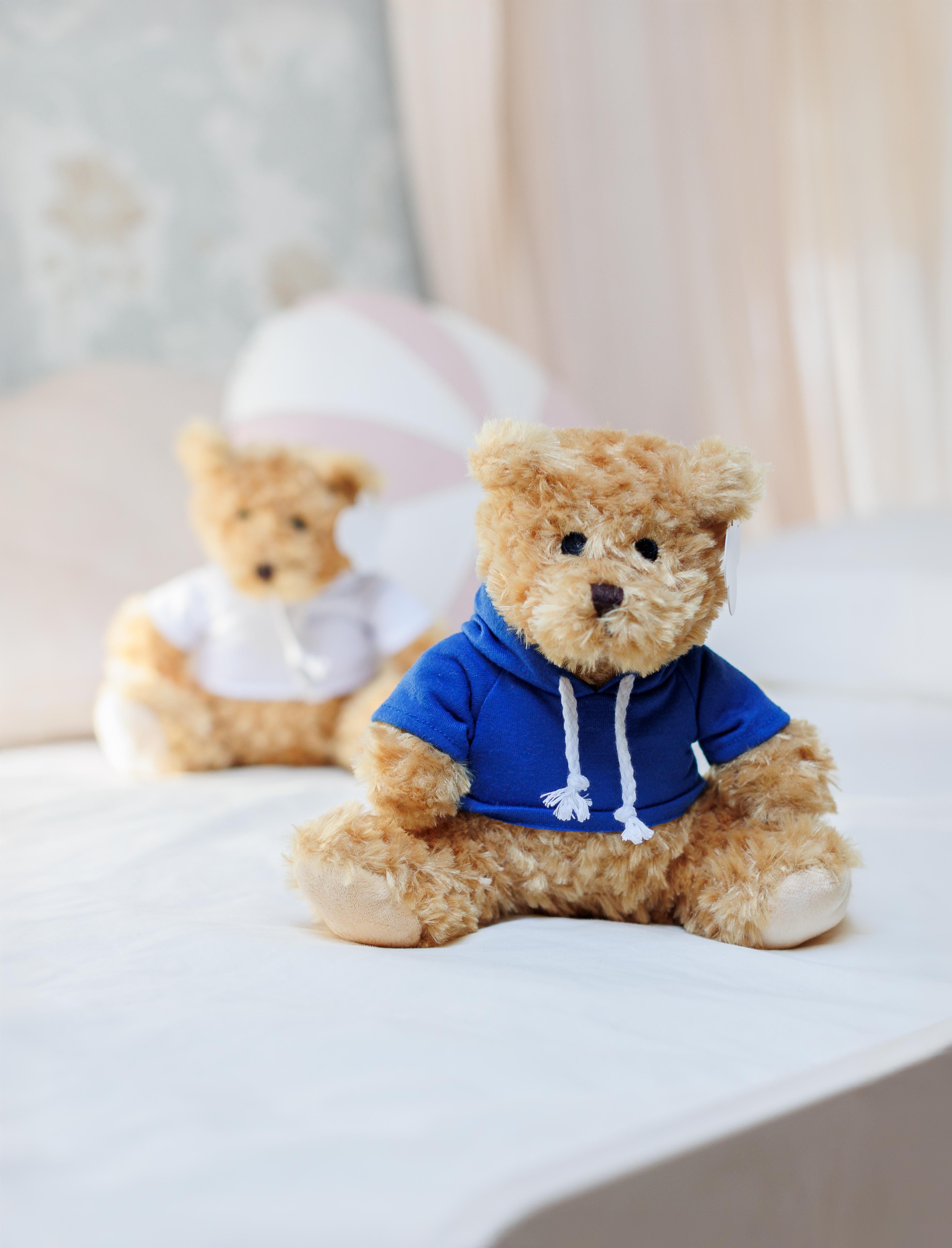 Ours en peluche Monty