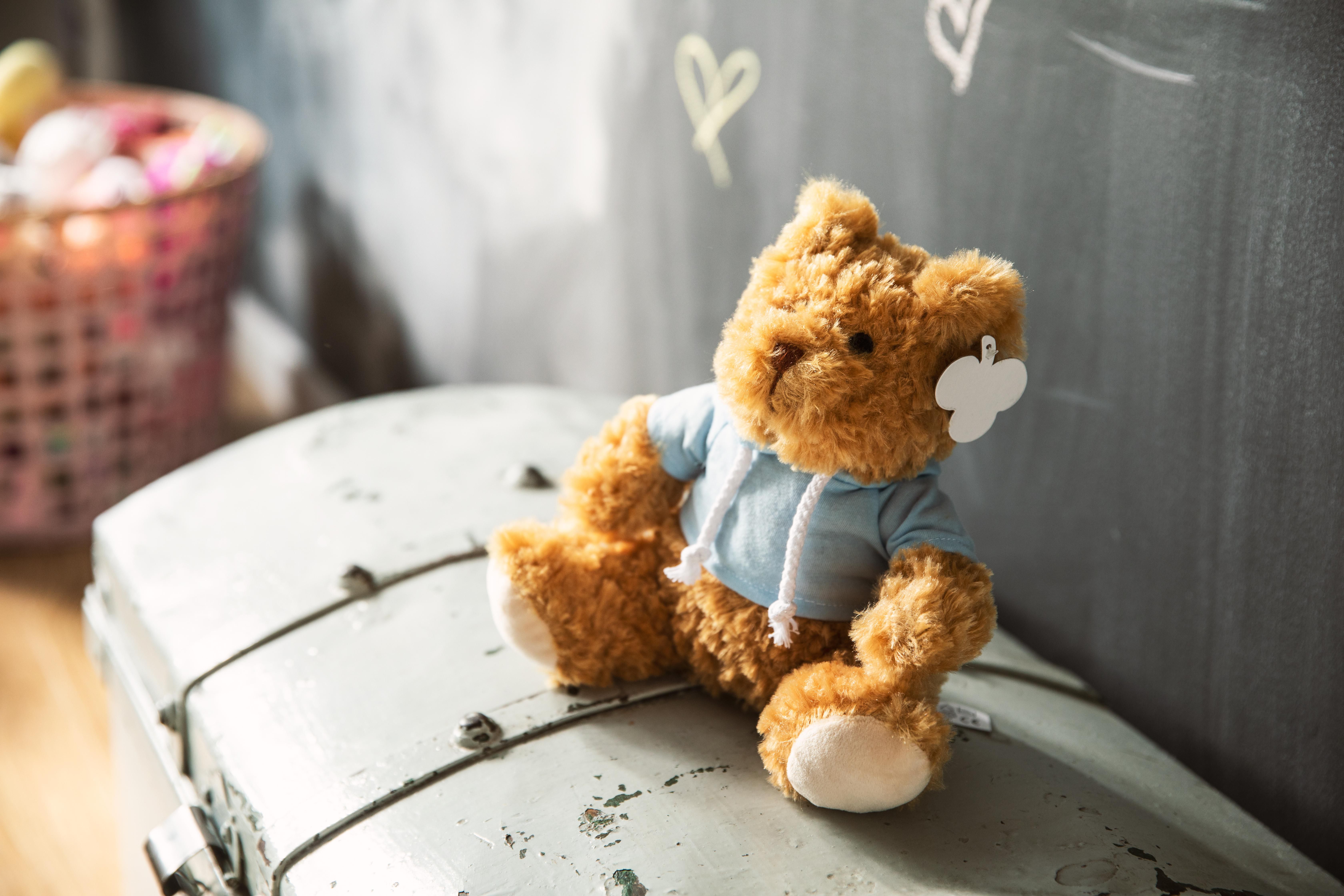 Teddybär Monty