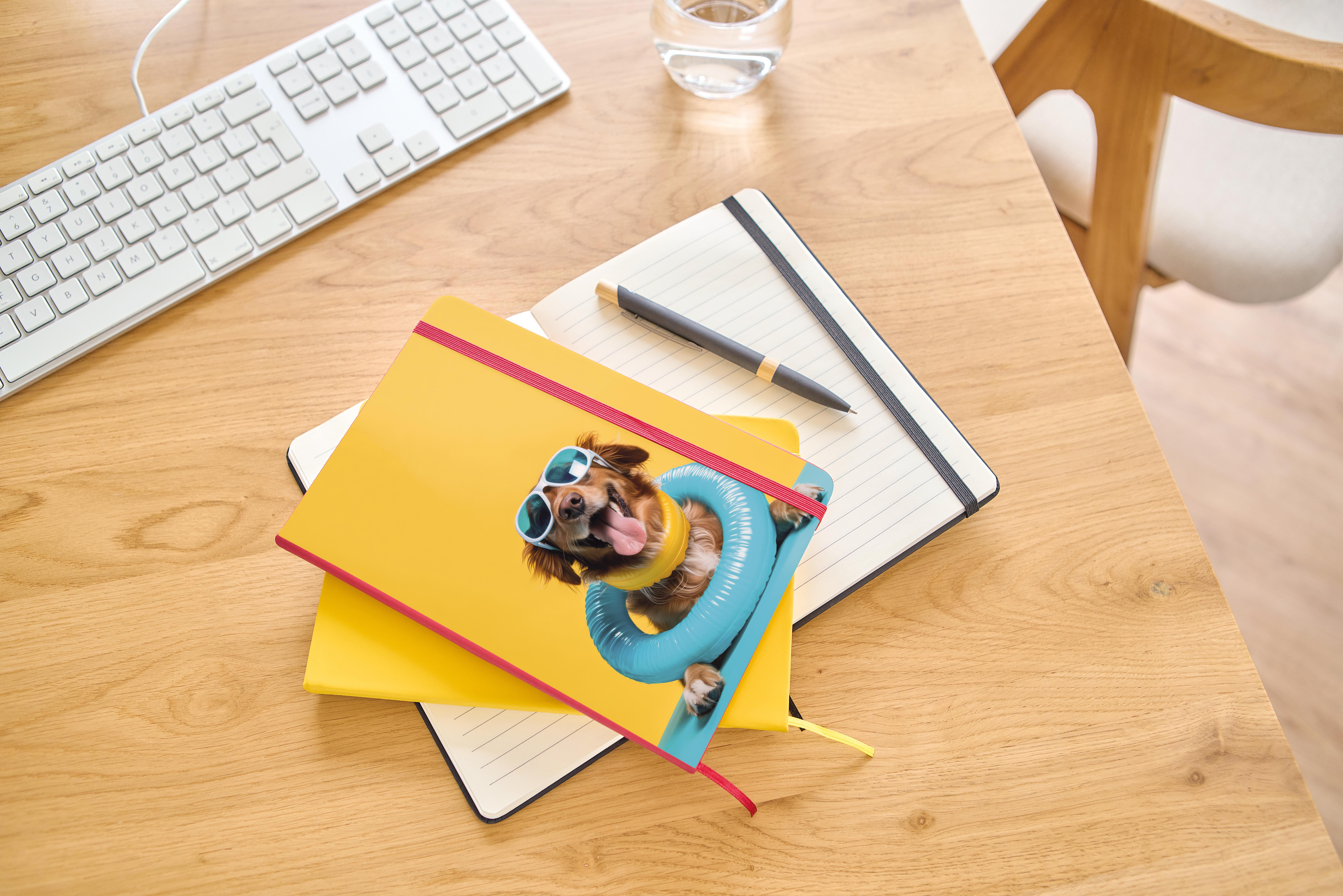 Carnet de notes Eva | Recyclé | A5 | Ligné