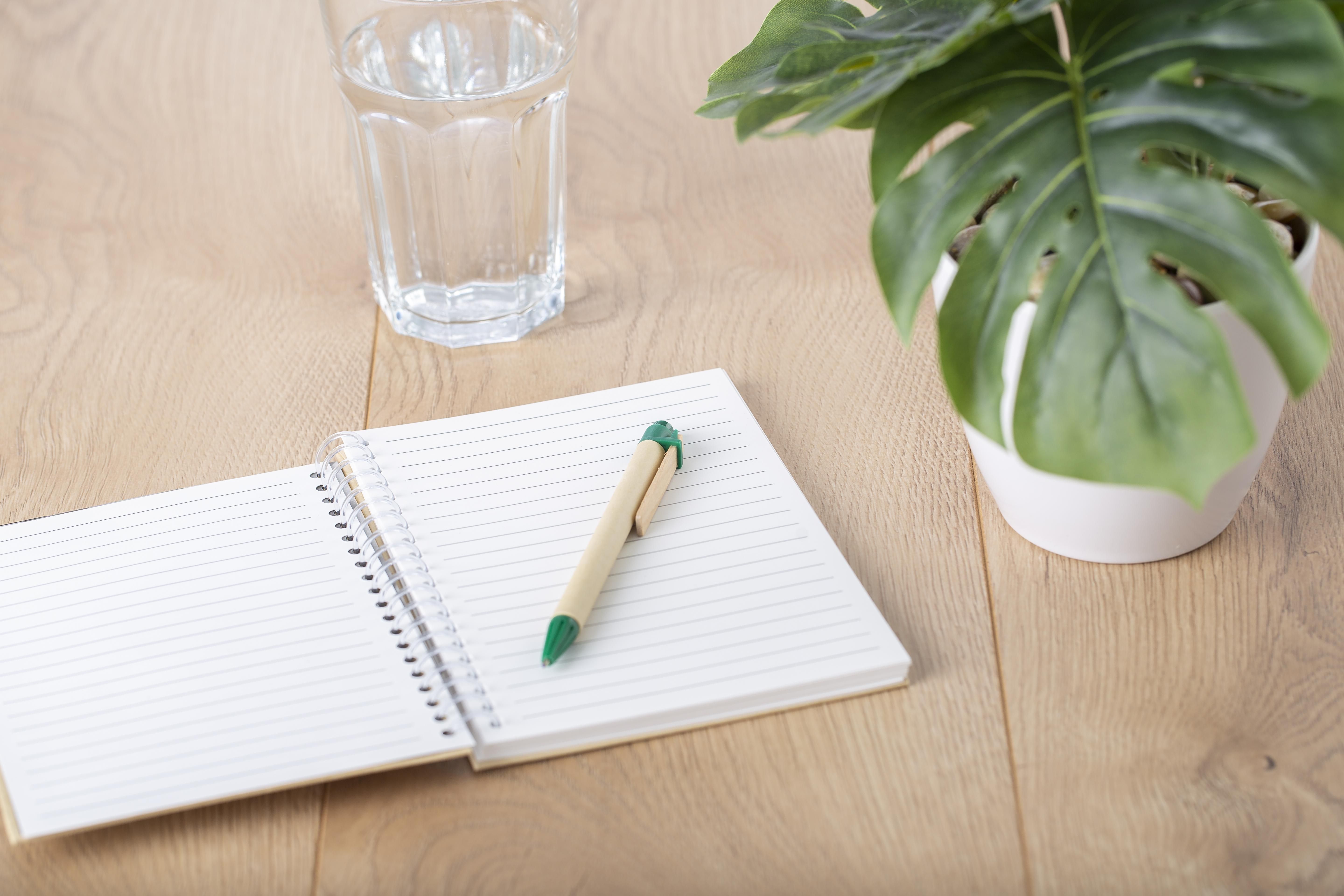 Stylo bille en carton Peter