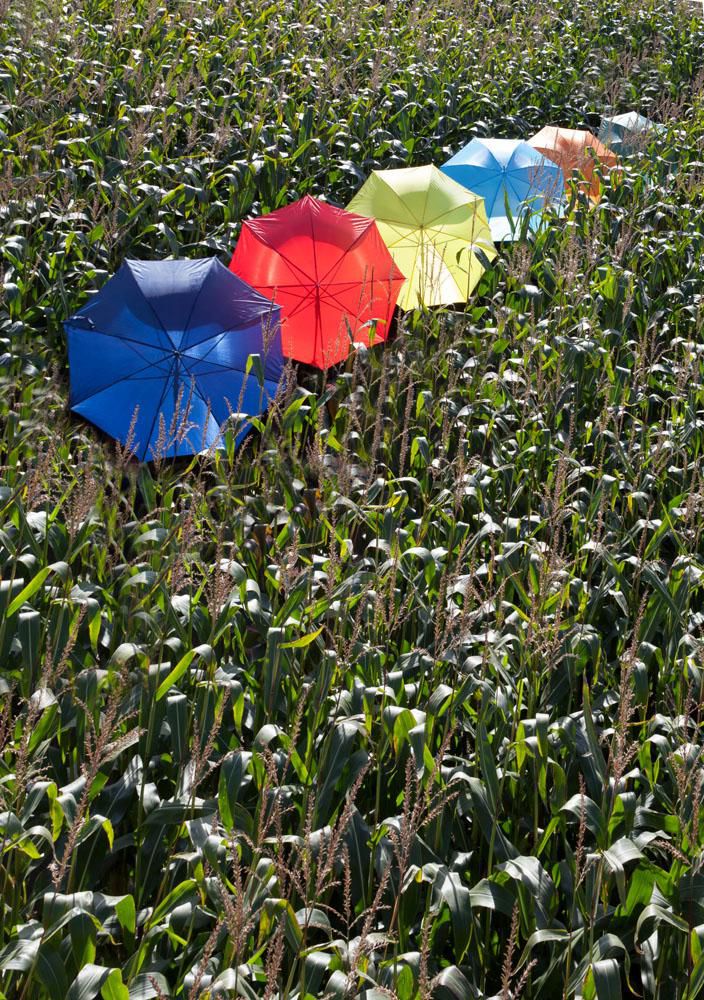 Parapluie golf automatique Andy
