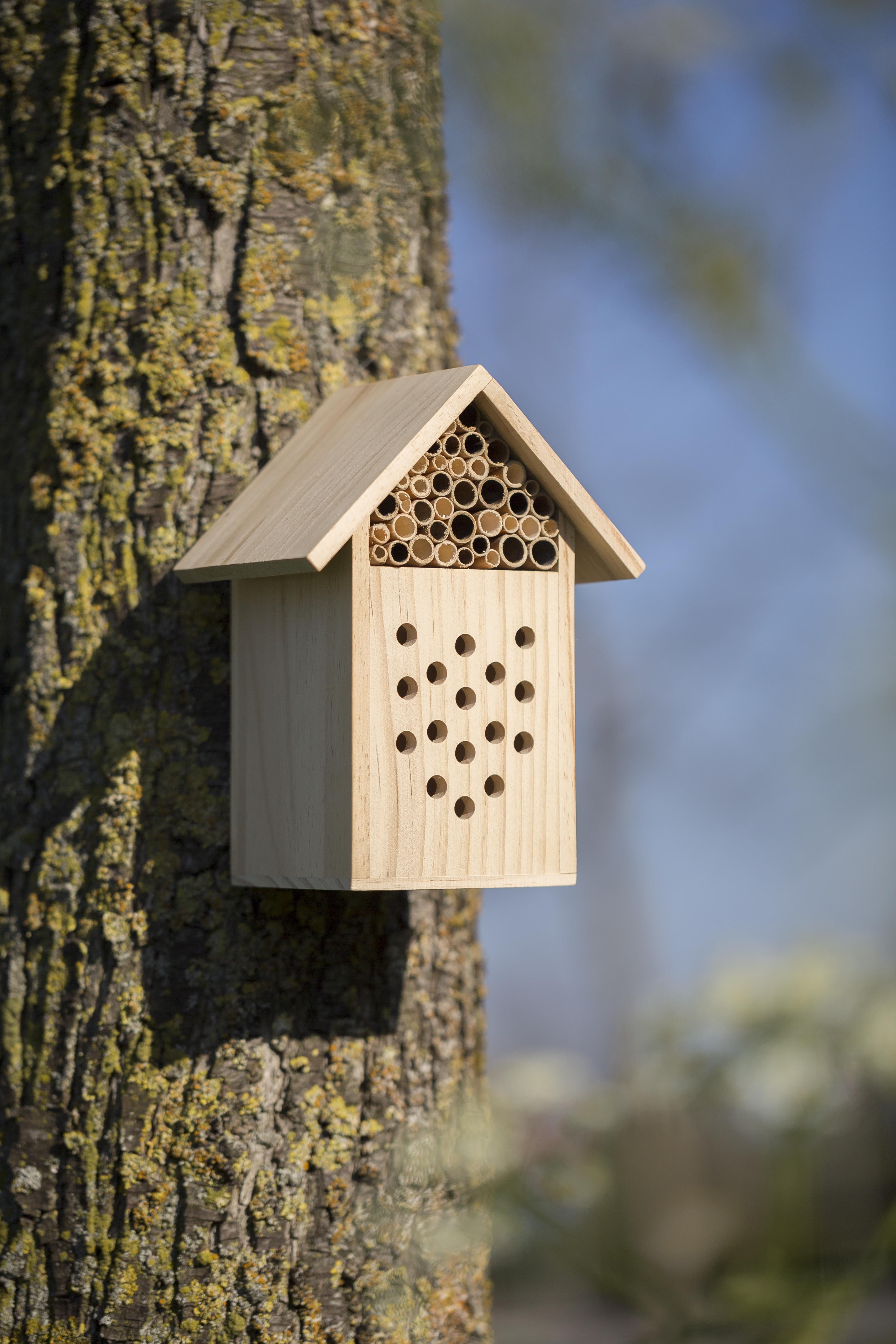 Abri pour abeilles en bois Fahim