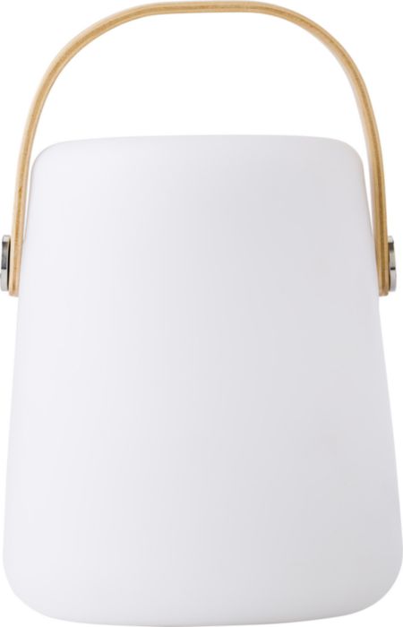 Altoparlante wireless